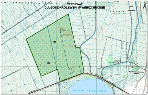 Mapa rezerwatu Długosz Królewski w Wierzchucinie