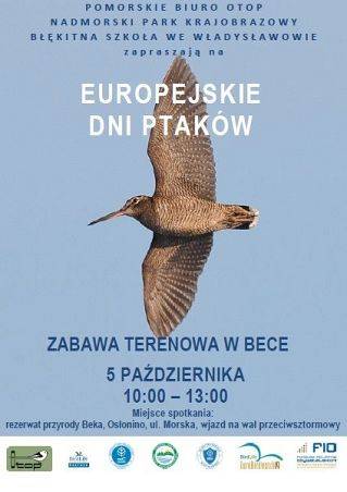 Zaproszenie na Europejskie Dni Ptaków grafika