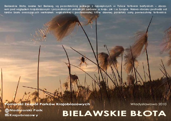 Okładka: Bielawskie Błota