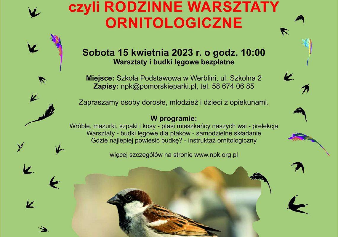 Grafika 1: Werbel w Werblini czyli rodzinne warsztaty ornitologiczne