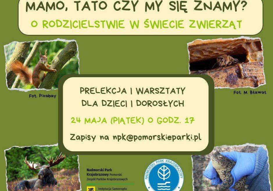 Grafika 1: Warsztaty "Mamo, tato czy my się znamy? O rodzicielstwie w świecie zwierząt"