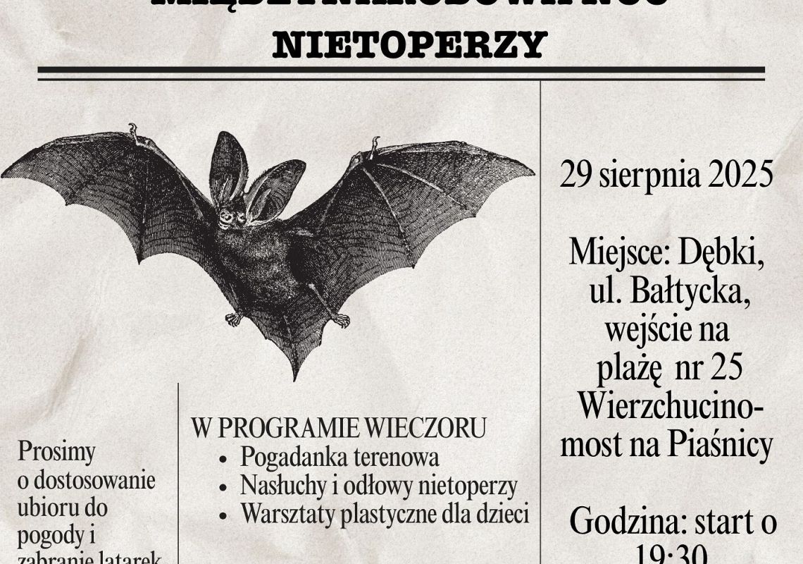 Grafika Noc nietoperzowa