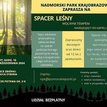 Kolejne październikowe wydarzenie- spacer leśny wolnym tempem grafika