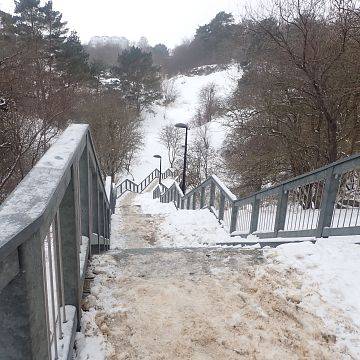 Coroczne zimowe liczenie nietoperzy w NPK Grafika Coroczne zimowe liczenie nietoperzy w NPK