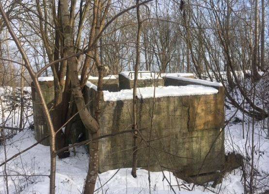 Nie użytkowane bunkry i fortyfikacje są doskonałym zimowiskiem dla nietoperzy.