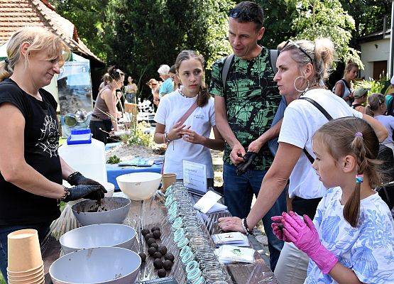 Dzięki bombom kwietnym wasze ogrody z pewnością rozkwitną (fot. PB)