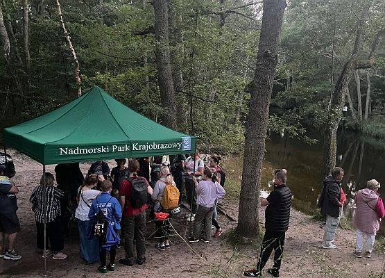 Nasza Noc Nietoperzowa odbyła się nad rzeką Piaśnica w Dębkach.