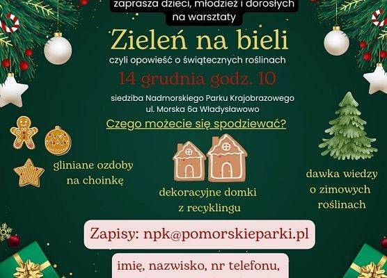 Grafika Warsztaty "Zieleń na bieli, czyli opowieść o świątecznych roślinach"