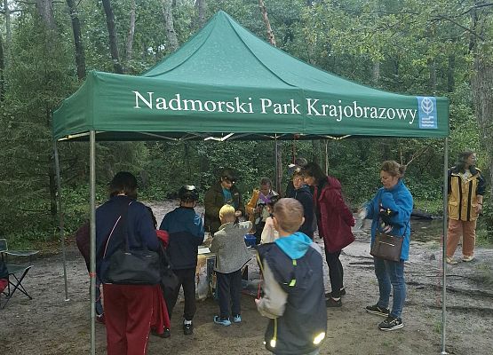 Grafika Międzynarodowa Noc Nietoperzy za nami - fotorelacja