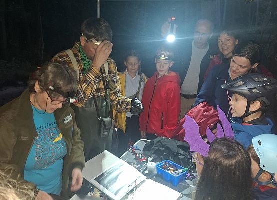 Grafika Międzynarodowa Noc Nietoperzy za nami - fotorelacja