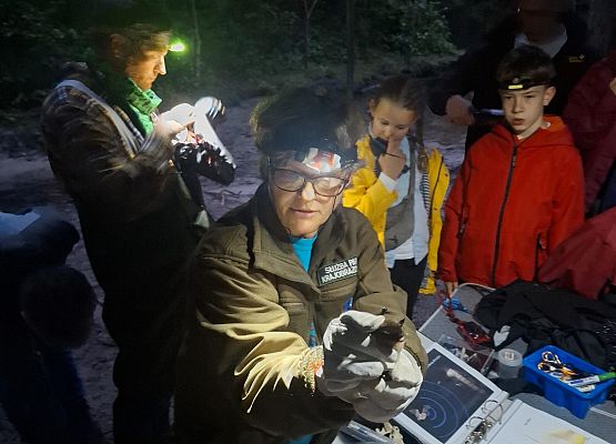 Grafika Międzynarodowa Noc Nietoperzy za nami - fotorelacja