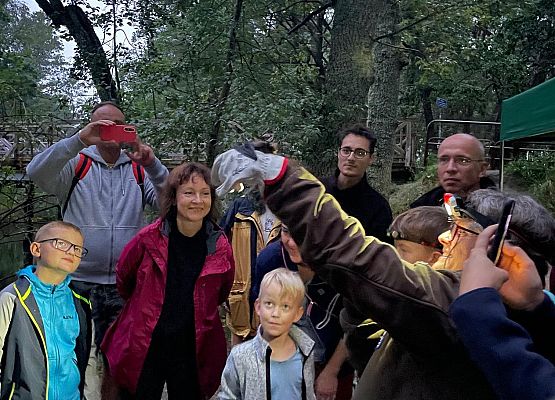 Grafika Międzynarodowa Noc Nietoperzy za nami - fotorelacja