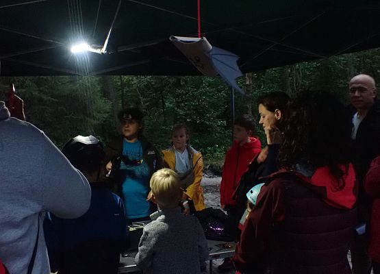 Grafika Międzynarodowa Noc Nietoperzy za nami - fotorelacja