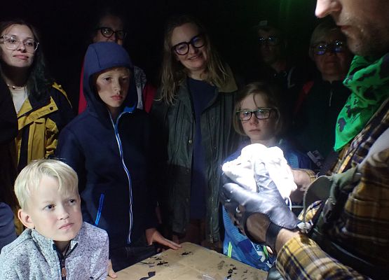 Grafika Międzynarodowa Noc Nietoperzy za nami - fotorelacja