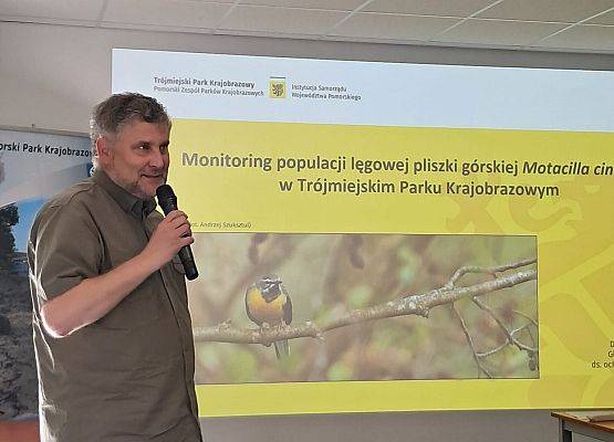 Referaty Mężczyzna prezentuje informacje przed ekranem, na którym wyświetlane są slajdy