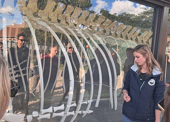 warsztaty w Stacji Morskiej Kobieta stoi przy oknie, na którym widnieje szkielet finawala