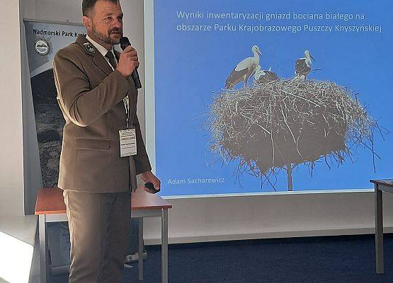 Referaty Mężczyzna prezentuje informacje przed ekranem, na którym wyświetlane są slajdy