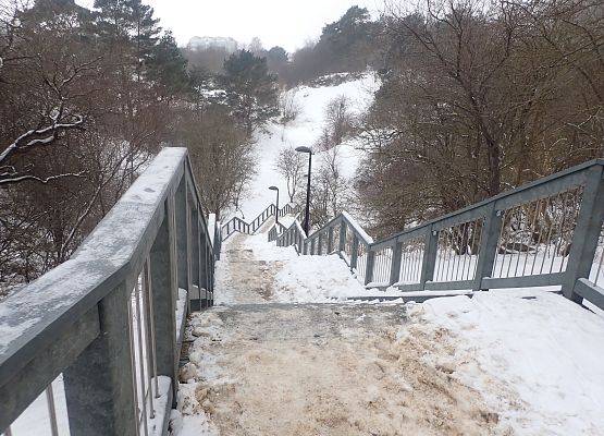 W rezerwacie przyrody "Dolina Chłapowska" wykonano schody zejściowe. Zdecydowanie łatwiej w zimowych warunkach dostać się do poterny pod drogą. Grafika Coroczne zimowe liczenie nietoperzy w NPK