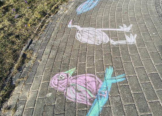 Grafika Czysta Rzeka - Czysta Każa i Chałupy - podsumowanie akcji