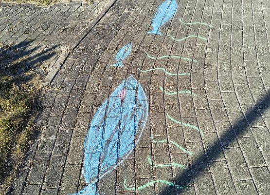 Grafika Czysta Rzeka - Czysta Każa i Chałupy - podsumowanie akcji