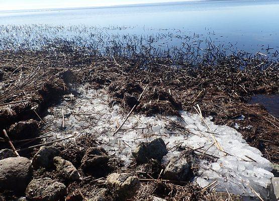 Grafika Czysta Rzeka - Czysta Każa i Chałupy - podsumowanie akcji