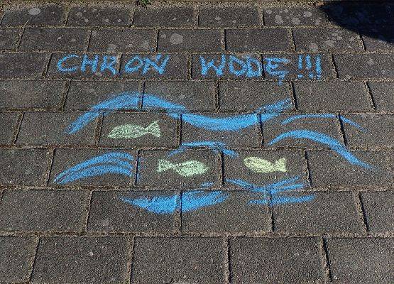 Grafika Czysta Rzeka - Czysta Każa i Chałupy - podsumowanie akcji