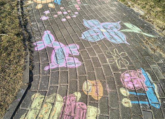 Grafika Czysta Rzeka - Czysta Każa i Chałupy - podsumowanie akcji