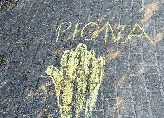 Grafika Czysta Rzeka - Czysta Każa i Chałupy - podsumowanie akcji