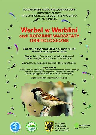 Werbel w Werblini czyli rodzinne warsztaty ornitologiczne grafika
