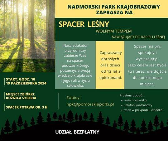 Kolejne październikowe wydarzenie- spacer leśny wolnym tempem grafika