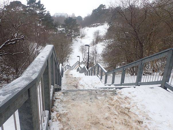 Grafika Coroczne zimowe liczenie nietoperzy w NPK