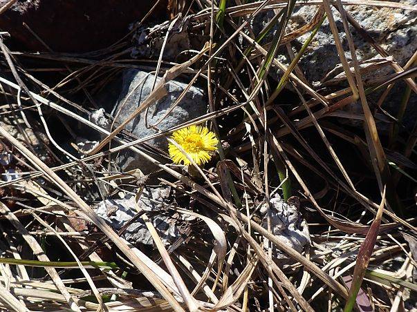 Grafika Czysta Rzeka - Czysta Każa i Chałupy - podsumowanie akcji