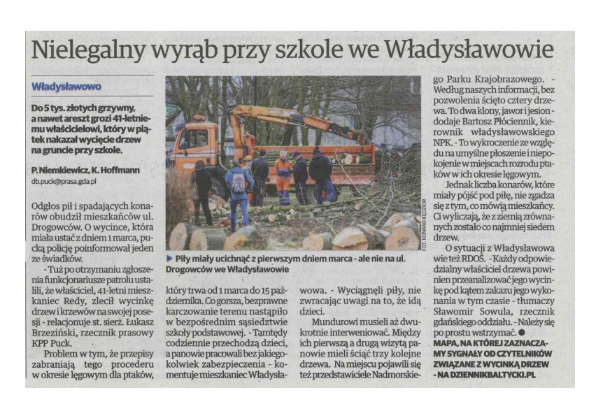 Okładka: Nielegalny wyrąb przy szkole we Władysławowie. Dziennik Bałtycki 4-5.03.2017